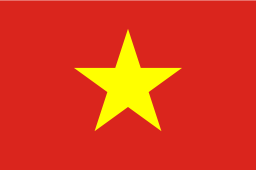 Flashcards Vietnamees